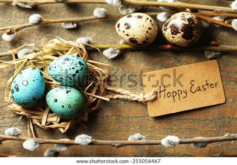 Bird Eggs Nest Pussy Willow Flowers Stock Photo Shutterstock