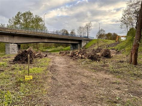 Galeria Ruszyły prace przy budowie mostu nad rzeką Bóbr Wycięto