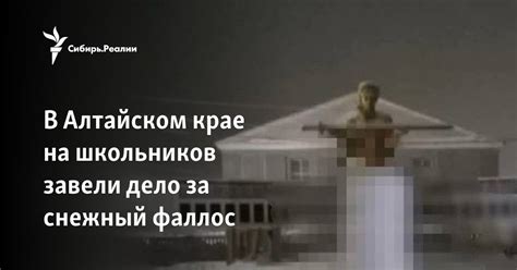 В Алтайском крае на школьников завели дело за снежный фаллос