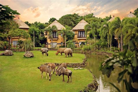 hotels near wild animal safari 6