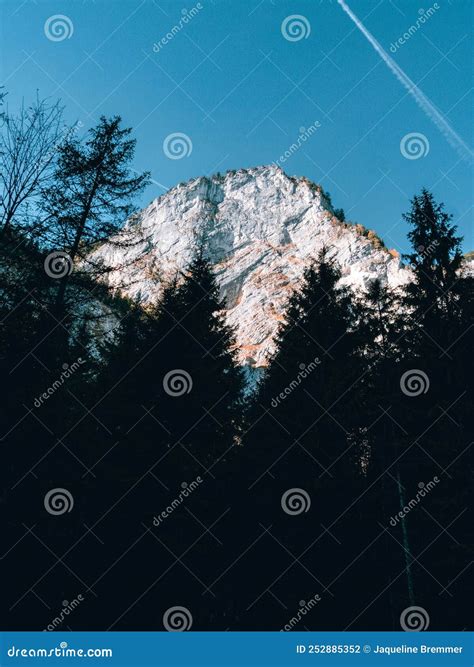 Mountain Peak And Trees In The Front Stock Photo Image Of