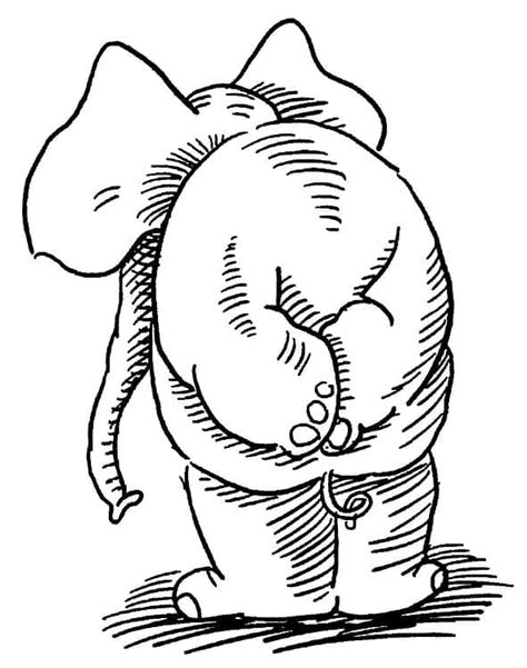 Coloriage Eléphant Vu De Dos Dessin Gratuit à Imprimer