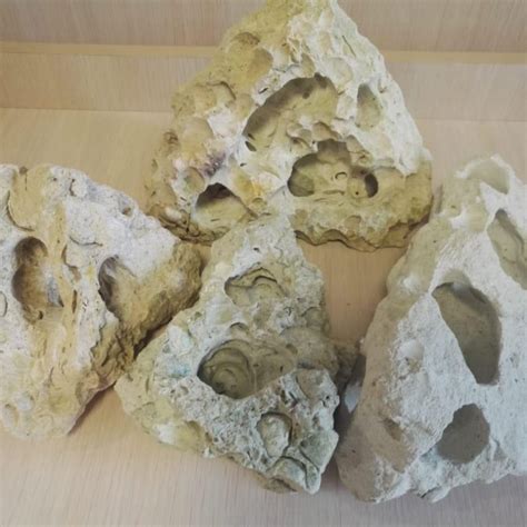 Камень ракушечник – купить в Бердске, цена 1 000 руб., дата размещения ...