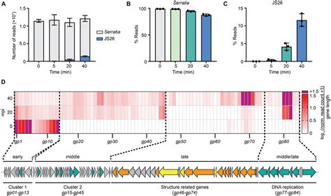 Js Temporal Gene Expression Profile A Total Number Of Reads