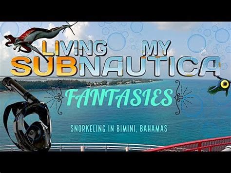 Gopro footage of me snorkeling in Bimini, Bahamas : r/subnauticafun