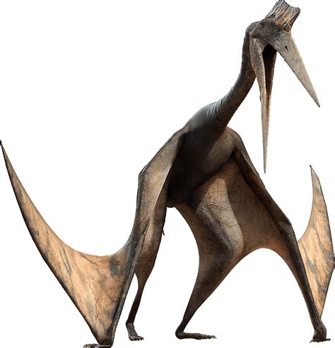 Image Pterosaurwalkpng Walking With Dinosaurs Wiki