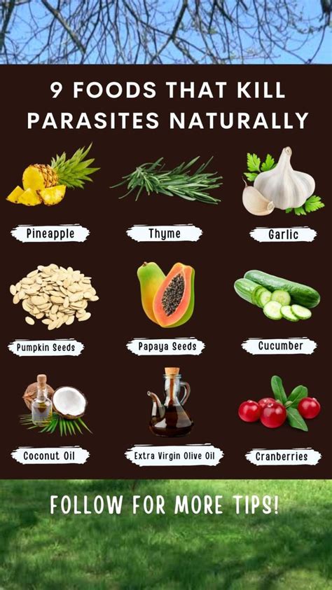 9 Foods That Kill Parasites Naturally Holistic Health Remedies Herbs For Health Food Health