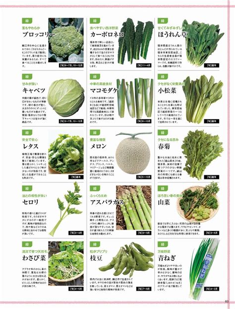 旬の里ふくい 野菜図鑑 福井県ホームページ