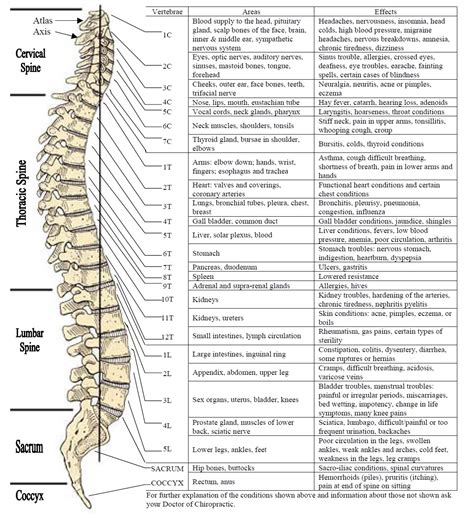 Spinal Misalignment Chart A Visual Reference Of Charts Chart Master