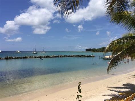 Book Coco Reef Resort And Spa Crown Point Trinidad And Tobago
