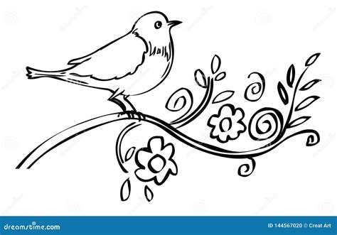 Bird Doodle Vector Illustration Bird Sitting On Branch Drawing Stock