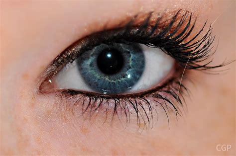 Eye, Free Stock Photos - Free Stock Photos