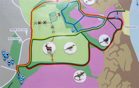 Arne RSPB walking route map – Swanage.co.uk