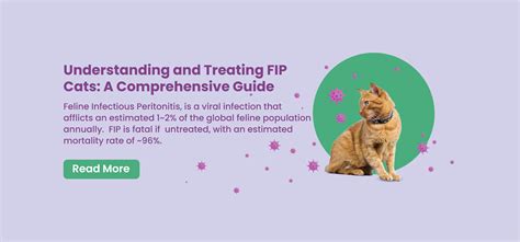 FIP Cats: Comprehensive Guide to Symptoms, Diagnosis & Treatment