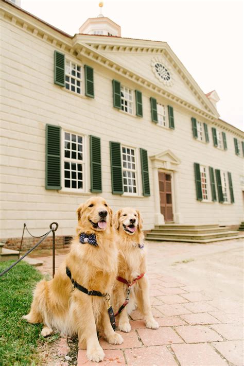 Mount Vernon Day Trip Itinerary — Samantha Brooke Photography
