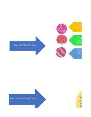 Pns Concept Map Simona Levin Hynes Nursing Interventions