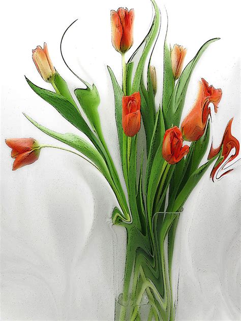 Naranja Pique Digital Art By Suzy Freeborg Fine Art America