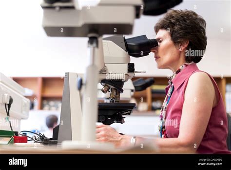 Cytology Laboratory Lab Technician Using A Microscope To View Slides