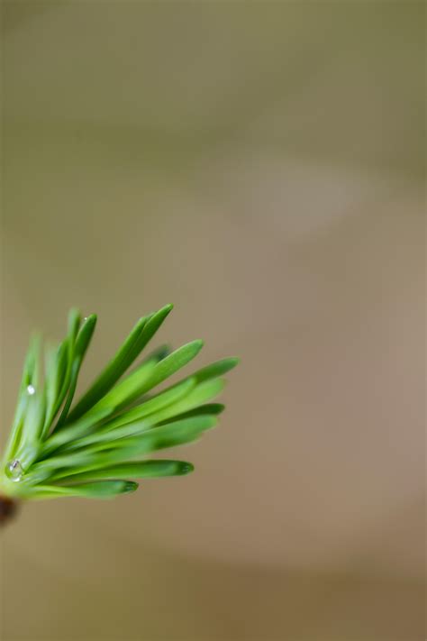 Francesco Sommacal - Photography