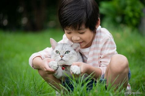 Como incentivar a boa relação entre gatos e crianças