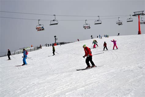 Mount Buller Sightseeing Day Tour