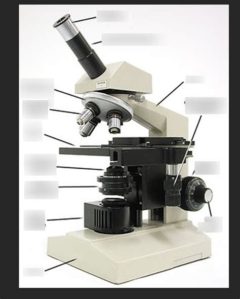 Microscope Diagram Quizlet