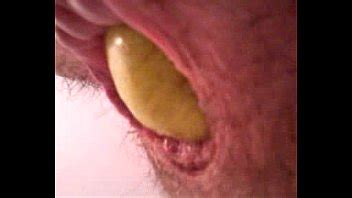 橘梨紗 Search page XVIDEOS