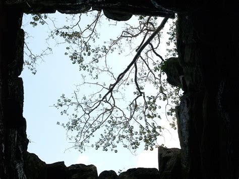 Angkor Wat ,Angkor Thom , Siem Reap Free Stock Photo - Public Domain ...