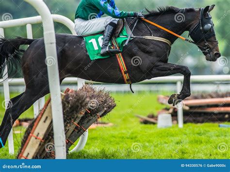 Race Horse And Jockey Jumping A Hurdle Editorial Photo Image Of