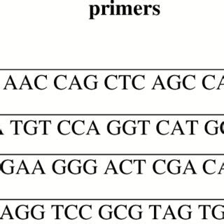 Primers Used In Pcr Amplification For Detection Of Virulence Genes