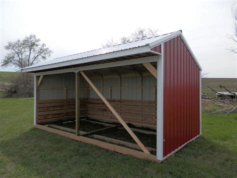 Why many animal shelters near me that are open face huge crowds 11