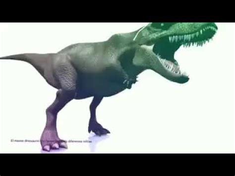 Dancing Dino Meme - YouTube