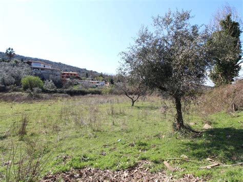 Vendita Villa Unifamiliare In Strada Di Rotavello Palombara Sabina Da