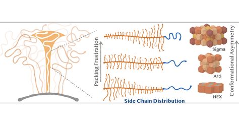 Local Chain Feature Mandated Self Assembly Of Block Copolymers