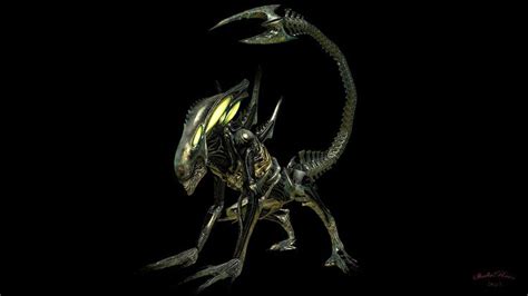 Pin On Xenomorph Alien