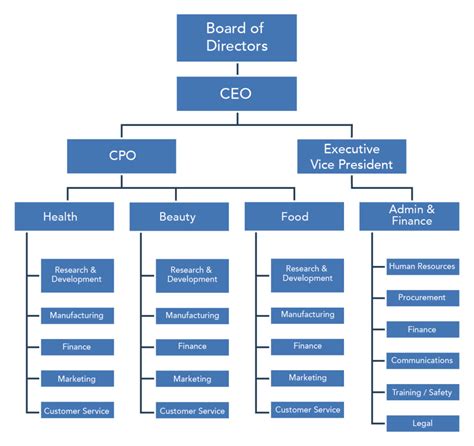 Corporate Structure Chart The Ultimate Guide To Company Structure Charts