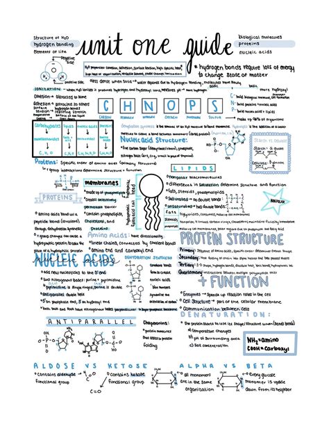 Ap Biology Unit Review Notes Etsy