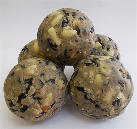 Twootz Signature Premium Suet Fat Balls For Wild Birds Twootz