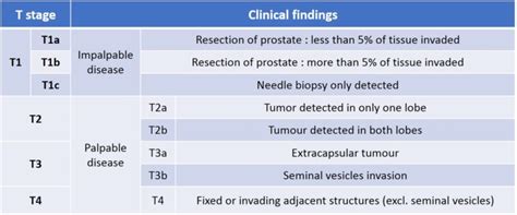 Prostate Cancer Diagnosis An Ever Technologically Evolving Workup