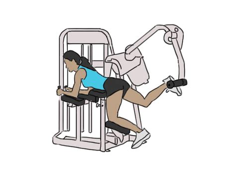 Glutes Machine Gofitnessplan