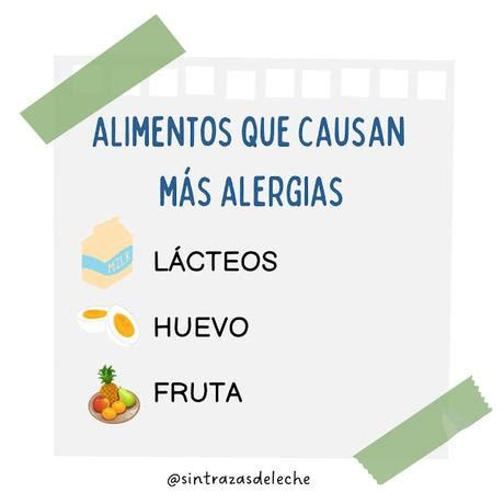 Alimentos Que Causan M S Alergias Paperblog