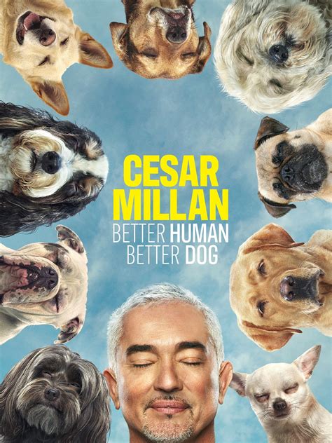 Cesar Millan: Better Human Better Dog - Rotten Tomatoes