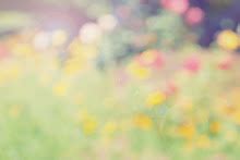 Me My Cine Cr Tica Sex And The City