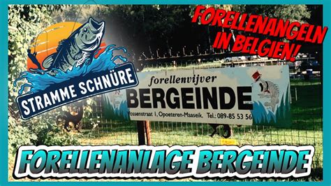 Forellenangeln in Bergeinde Belgien Stramme Schnüre Folge 025