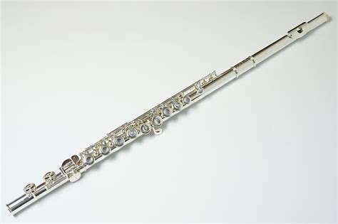 Freeshipping Muramatsu Flute Ds Cce Closed Hole C Foot Reverb