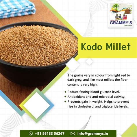 Brown Kodo Millet Gluten Free At Rs Kg In Bengaluru Id