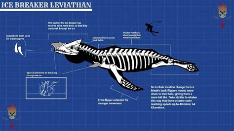 Scientifically Accurate Leviathan Part 2 By Flameburnt On Deviantart