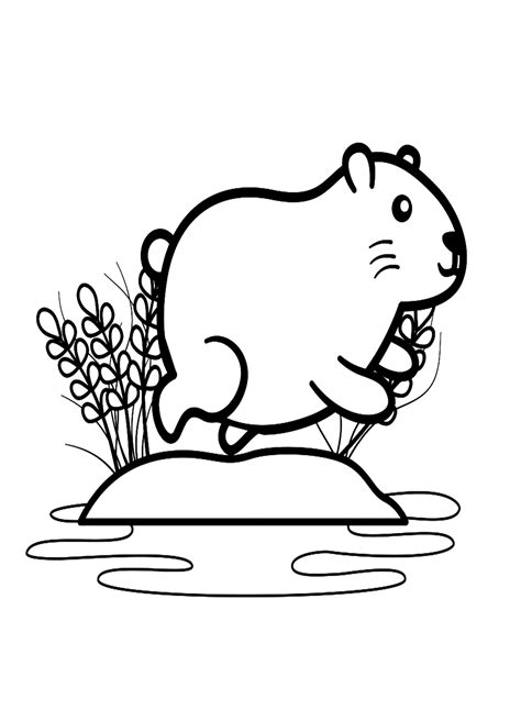 Mais de 30 páginas para colorir de capivara - PDF para impressão grátis ...