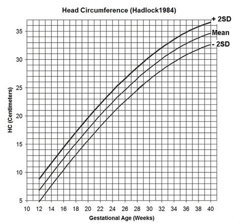 Fetal Weight Chart By Gestational Age