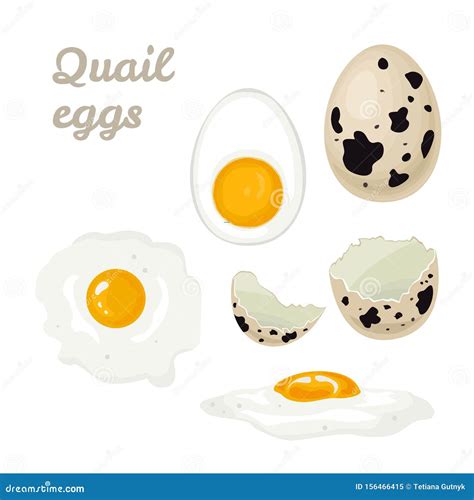 Quail Eggs Isolated On White Background Set Stock Vector